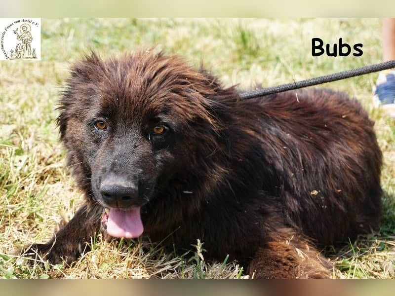 Bubs – Zu zweit ist man nicht mehr allein