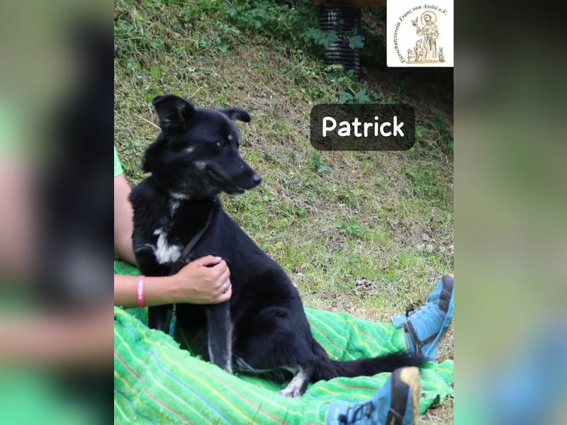 Patrick – Mut, ein bisschen Neugier und schon kann das Abenteuer beginnen!