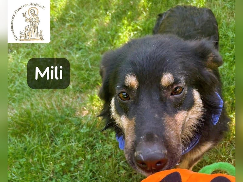 Mili – die perfekte Mischung aus Charme und Charakter!