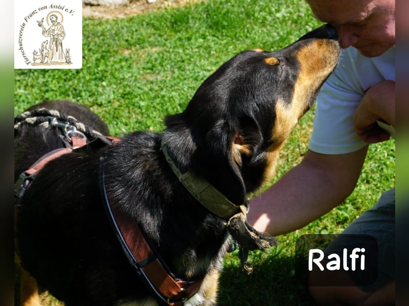 Ralfi – Für manche Hunde gibt es einfach nicht die richtigen Worte!