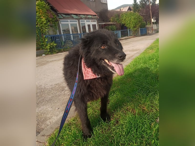 Waisenkinder Bobi und Mrki