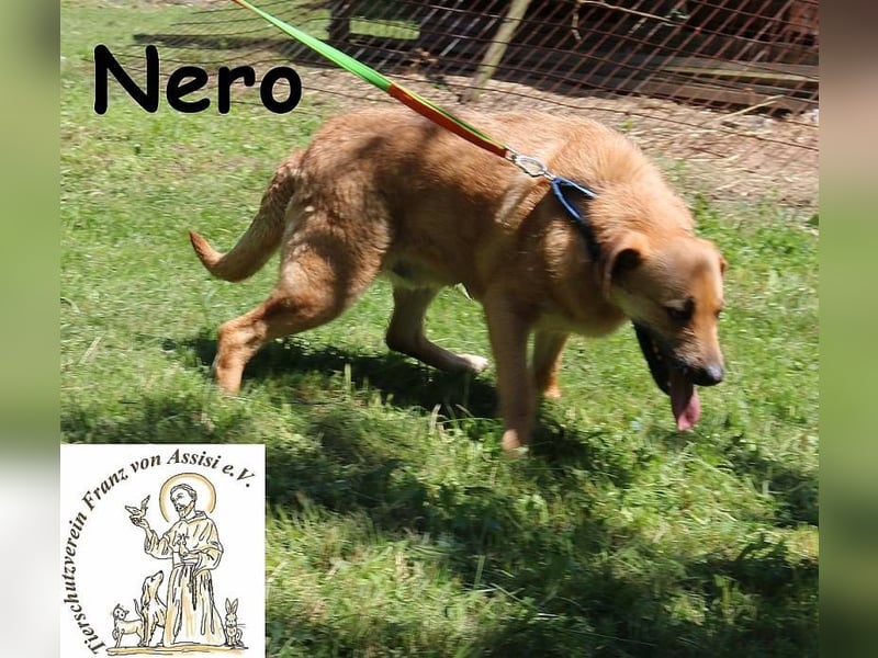 Nero – Weil Normal manchmal einfach perfekt ist!