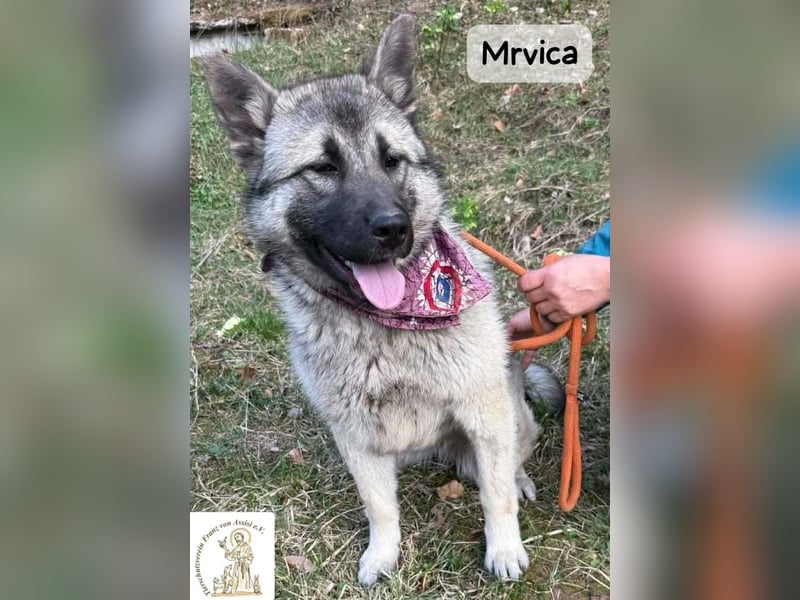 Mrvica – Schönheit mit Neugier auf das große Leben!