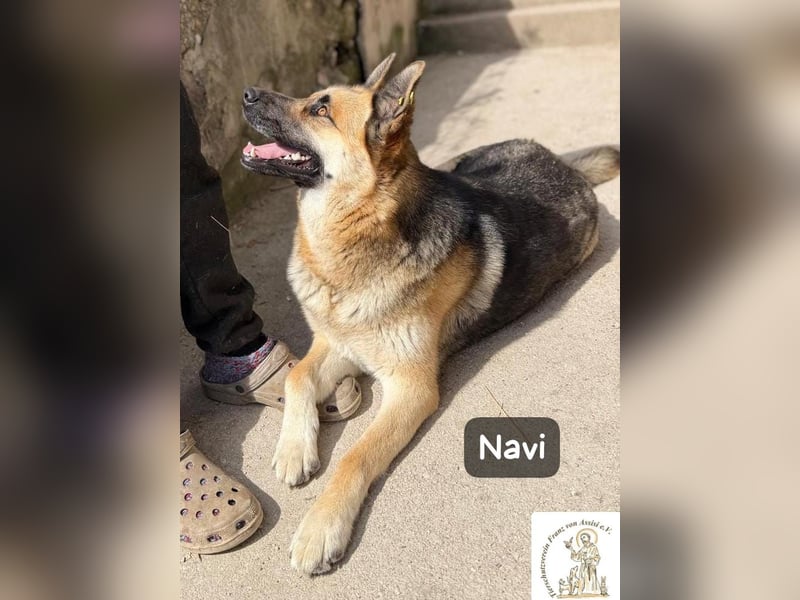 Navi – stark, sensibel, besonders – sucht ihr Gegenstück!