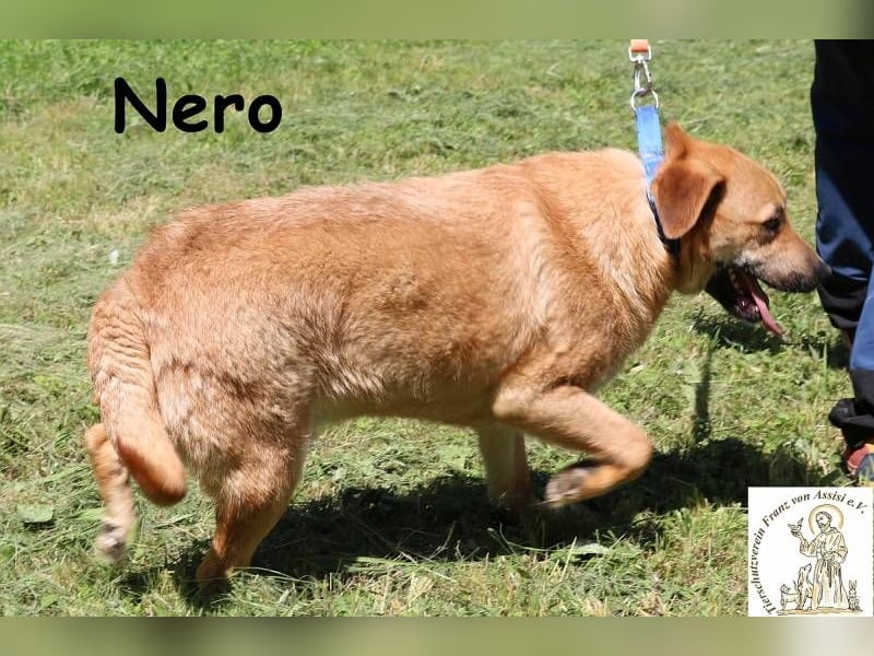 Nero – Weil Normal manchmal einfach perfekt ist!