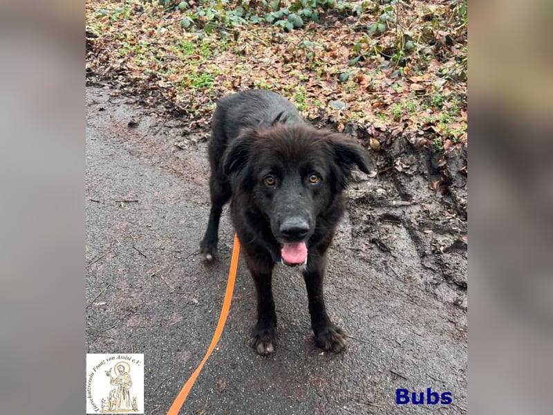 Bubs – zu zweit ist man nicht mehr allein