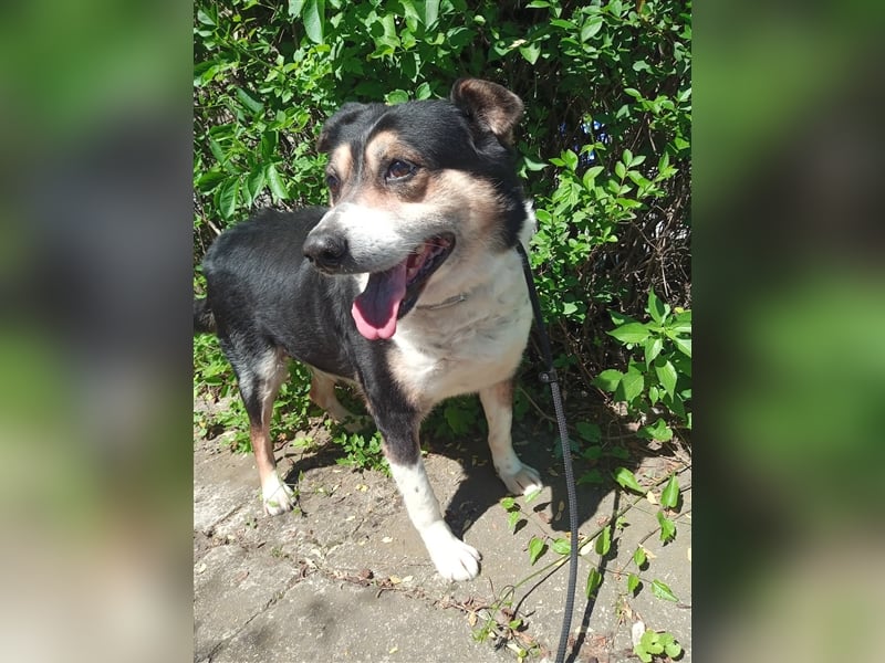 Waisenkinder Bobi und Mrki