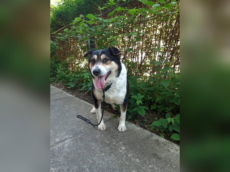 Waisenkinder Bobi und Mrki