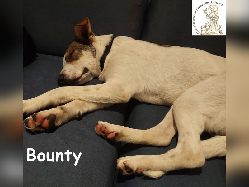 Bounty wird mutig und entdeckt die Welt
