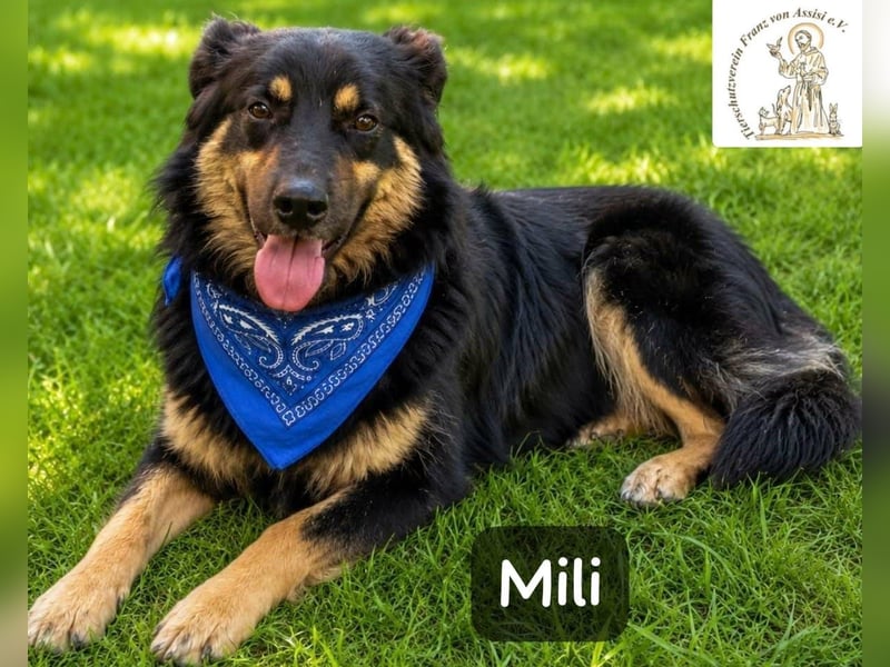 Mili – die perfekte Mischung aus Charme und Charakter!