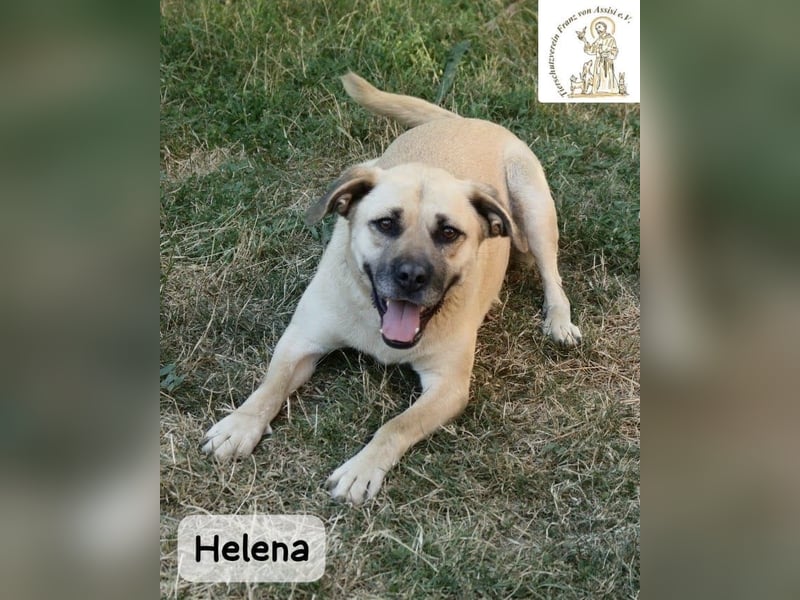 Helena – Schönheit mit Charakter & einem ganz besonderen Lächeln!