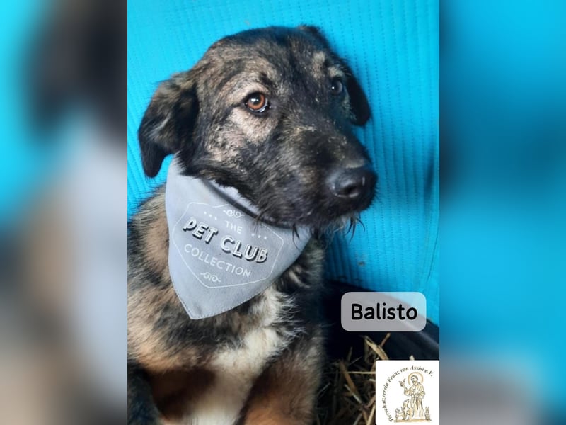 Balisto – vorsichtig? Ja. Langweilig? Ganz sicher nicht!