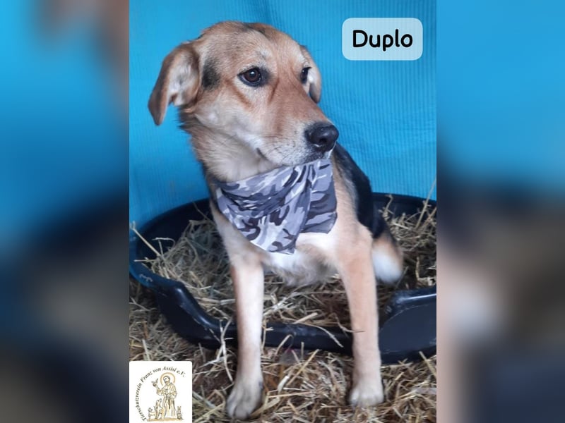 Duplo – leise starten, gemeinsam wachsen!