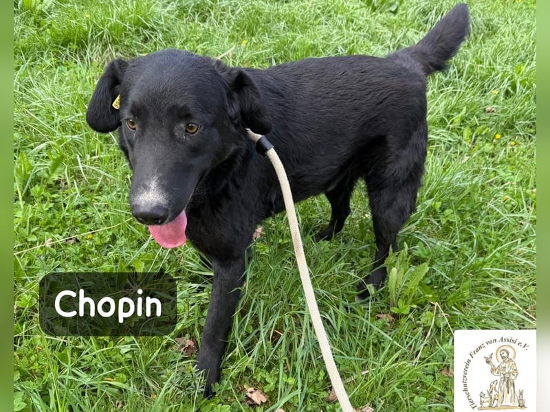 Chopin – ein sanfter Riese mit großem Herzen!