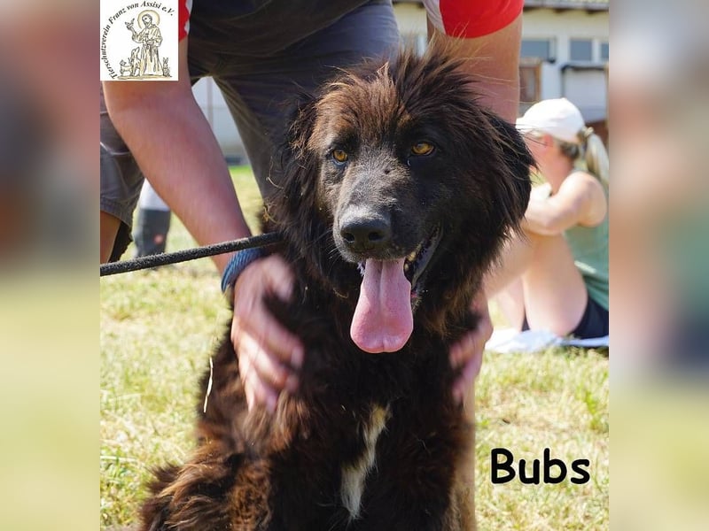 Bubs – Zu zweit ist man nicht mehr allein