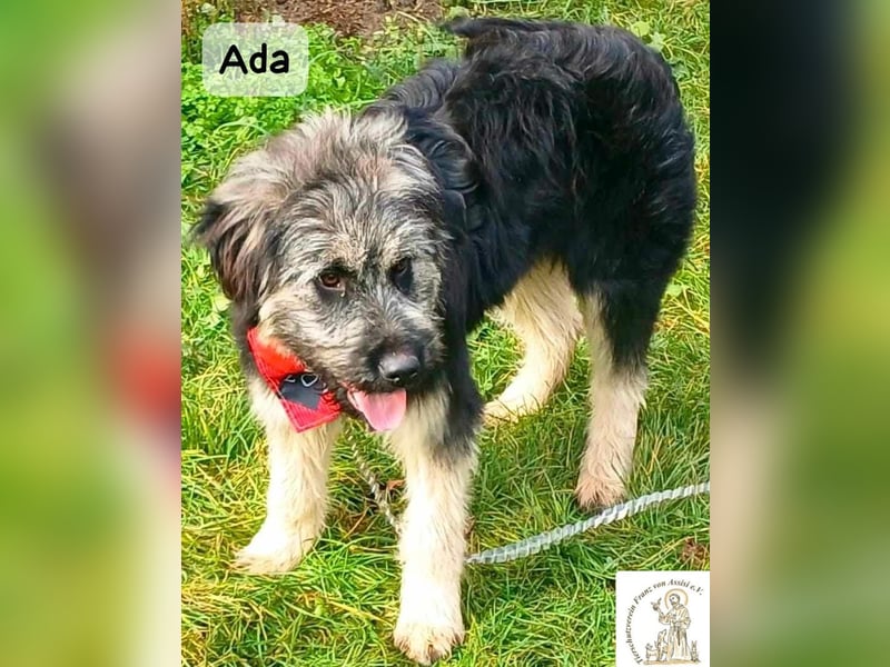 Ada – das Mädchen mit der Frisur, die alle Blicke fängt!