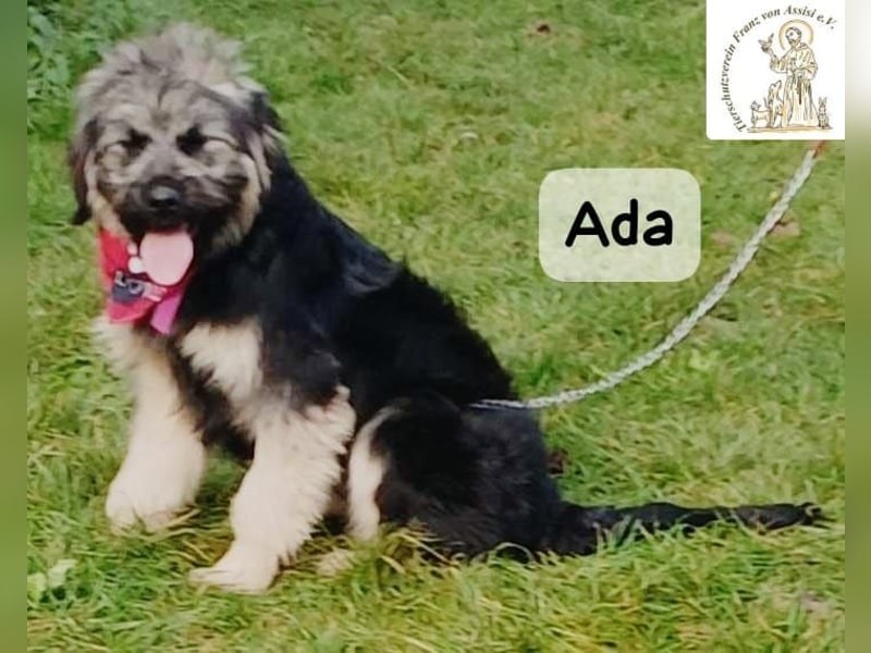 Ada – das Mädchen mit der Frisur, die alle Blicke fängt!