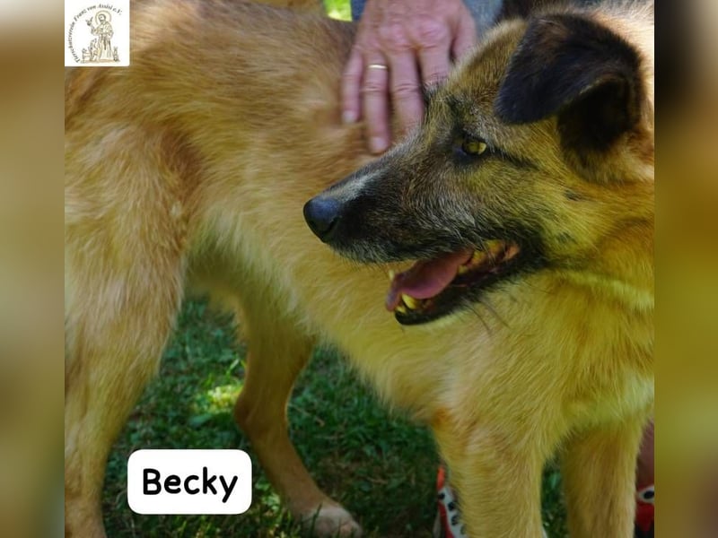 Becky – Eine Lady zum Verlieben, so schön wie das Leben selbst!