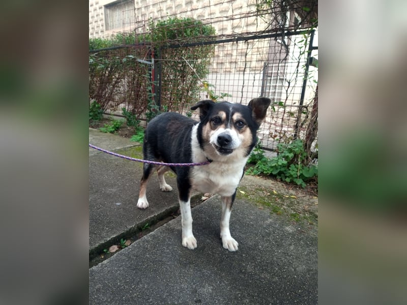 Waisenkinder Bobi und Mrki