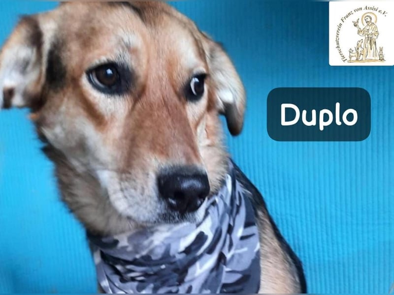 Duplo – leise starten, gemeinsam wachsen!