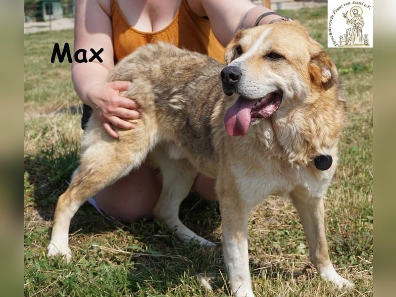 Max – Der Anführer mit dem Herz am rechten Fleck!