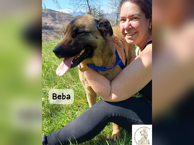 Beba – für Menschen, die das Echte suchen!