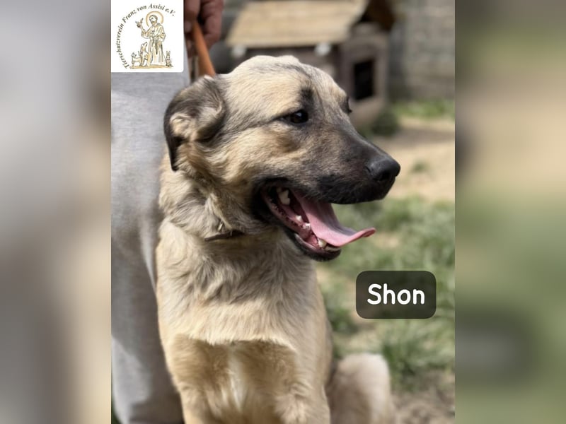 Shon – einmal lächeln, einmal verlieben, dann gemeinsam los ins Abenteuer!