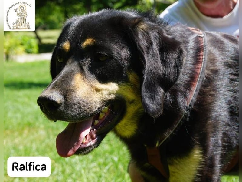 Ralfica – Nicht perfekt. Nicht außergewöhnlich. Aber genau RICHTIG!