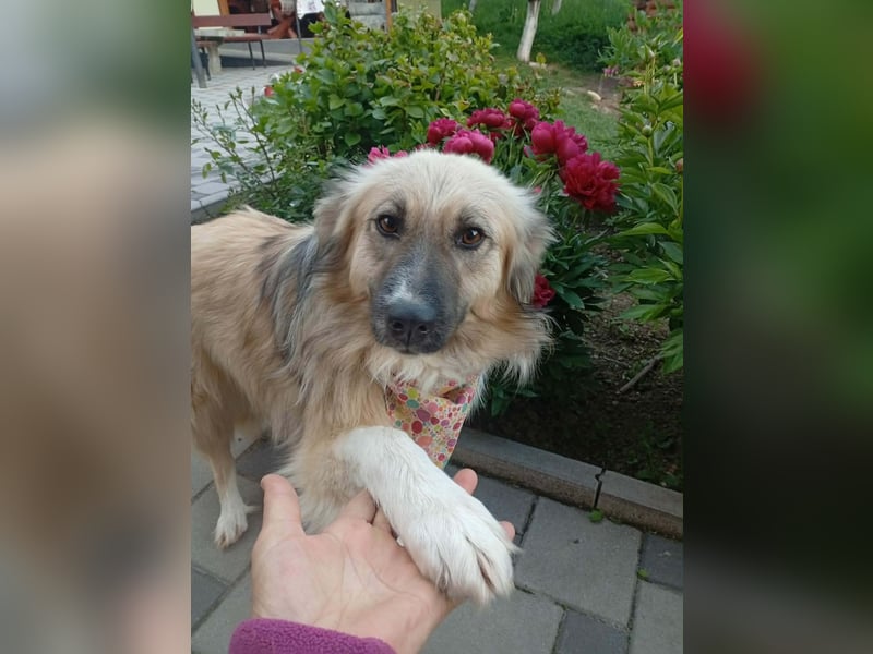 Malta – eine Lady auf dem Weg ins neue Leben!
