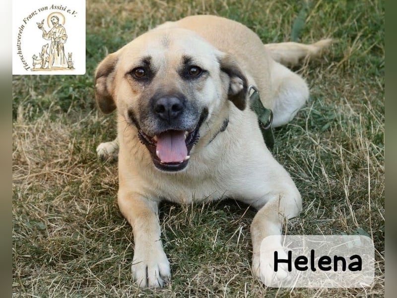 Helena – Schönheit mit Charakter & einem ganz besonderen Lächeln!