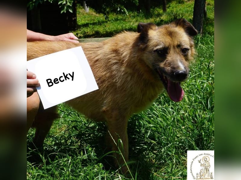 Becky – Eine Lady zum Verlieben, so schön wie das Leben selbst!