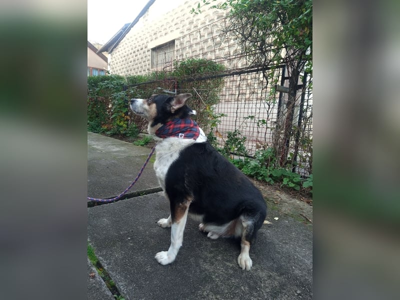 Waisenkinder Bobi und Mrki