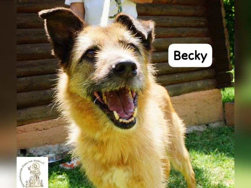 Becky – Eine Lady zum Verlieben, so schön wie das Leben selbst!