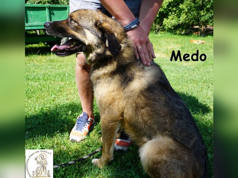 Medo – Spiel, Spaß, Spannung – und Lernen darf auch dabei sein!