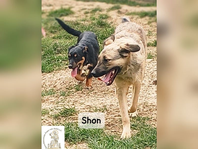 Shon – einmal lächeln, einmal verlieben, dann gemeinsam los ins Abenteuer!
