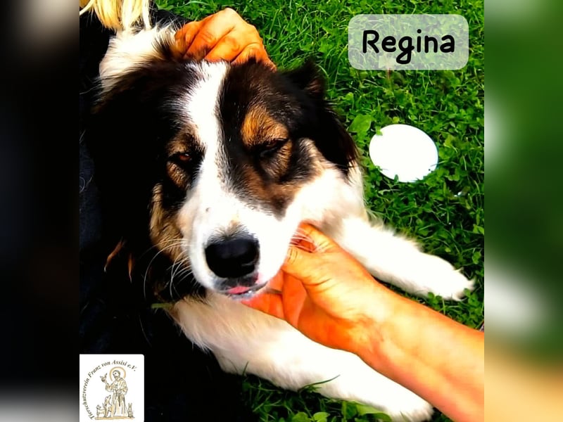 Regina – sie wollte nie allein sein!