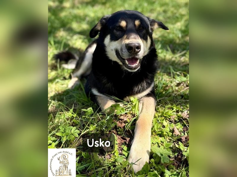 Usko – der, der lernen möchte, wie Leben wirklich geht!