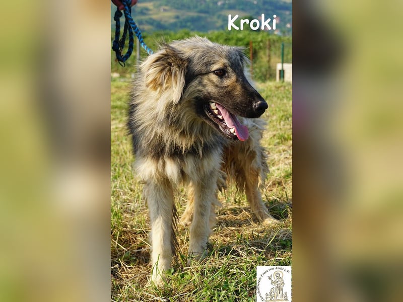 Kroki – Willst du Teil seines Lebens sein?