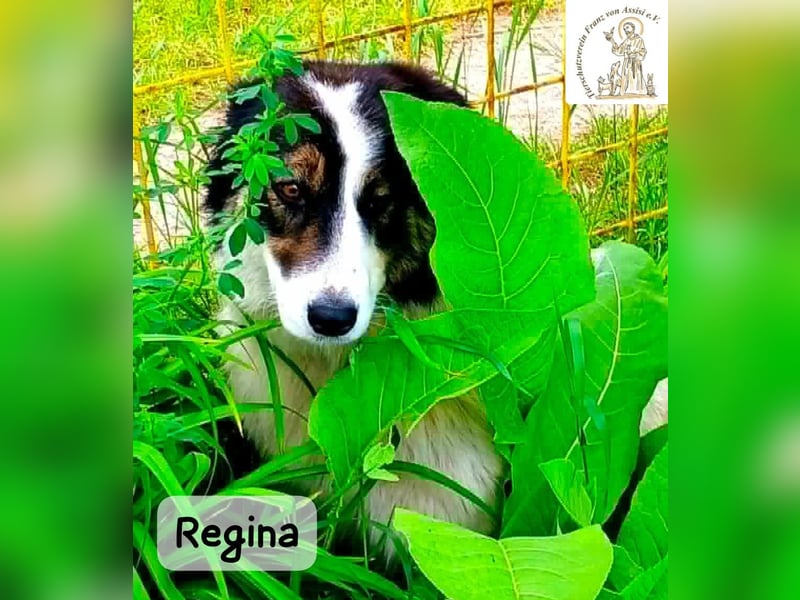 Regina – sie wollte nie allein sein!