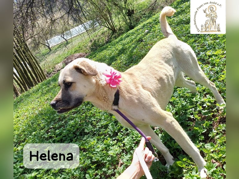 Helena – Schönheit mit Charakter und einem ganz besonderen Lächeln!