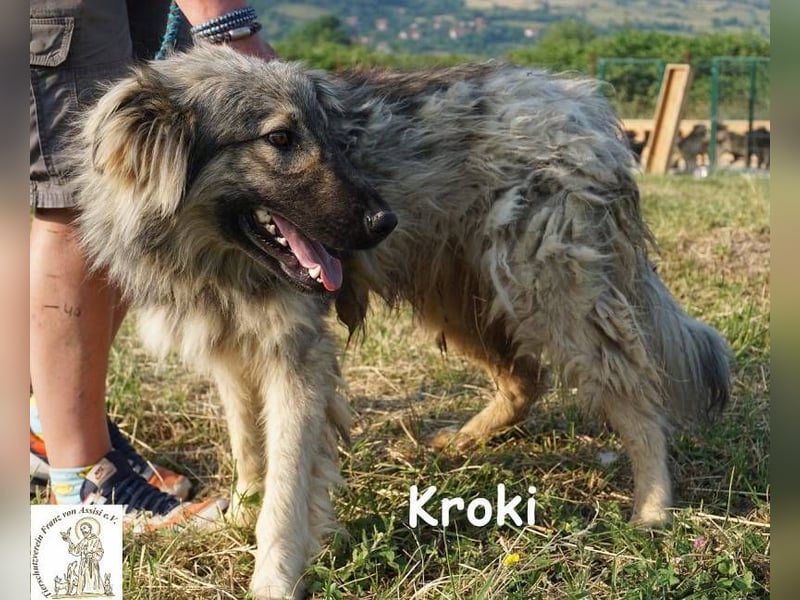 Kroki – Willst du Teil seines Lebens sein?