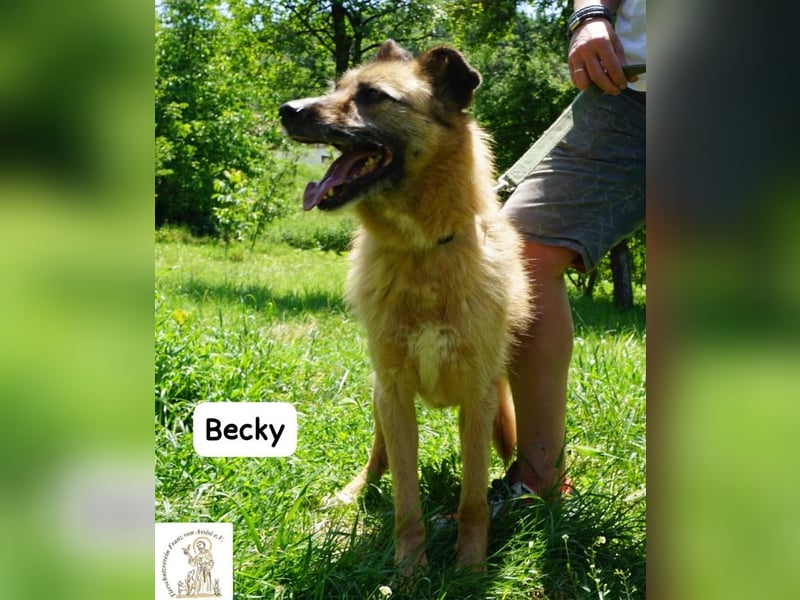 Becky – Eine Lady zum Verlieben, so schön wie das Leben selbst!