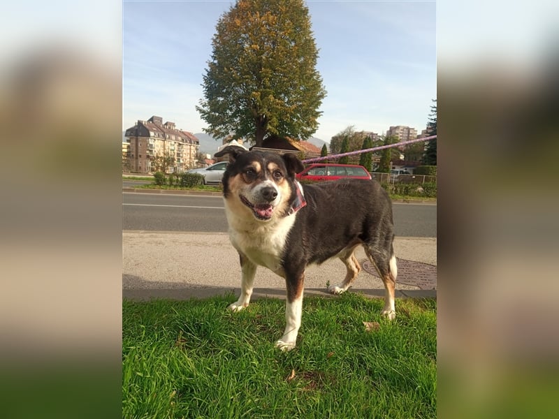 Waisenkinder Bobi und Mrki