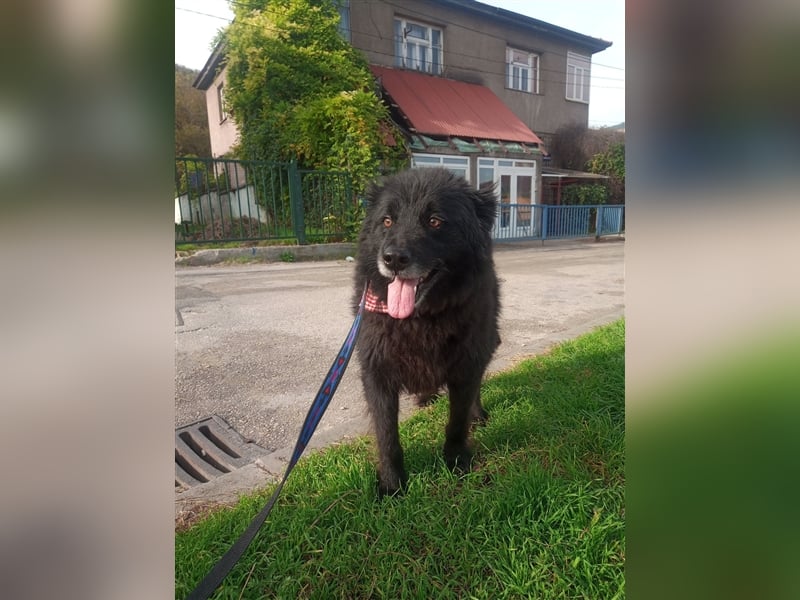 Waisenkinder Bobi und Mrki