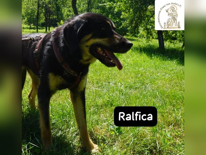 Ralfica – Nicht perfekt. Nicht außergewöhnlich. Aber genau RICHTIG!