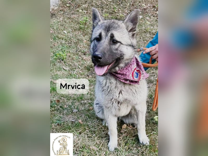 Mrvica – Schönheit mit Neugier auf das große Leben!