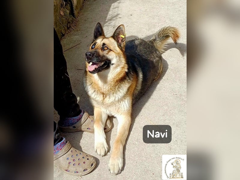 Navi – stark, sensibel, besonders – sucht ihr Gegenstück!
