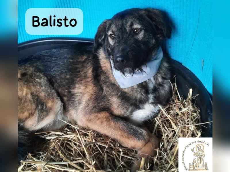 Balisto – vorsichtig? Ja. Langweilig? Ganz sicher nicht!