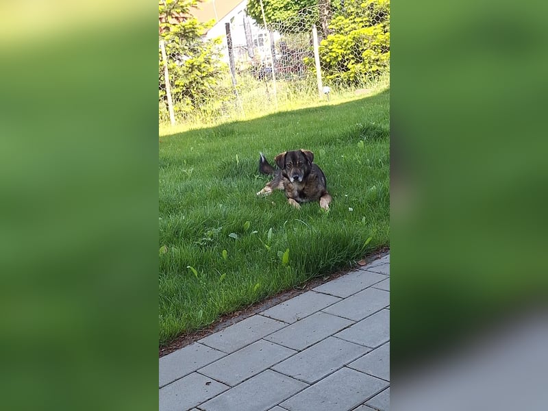 Maggret – angekommen, aufgeblüht und bereit fürs große Glück!