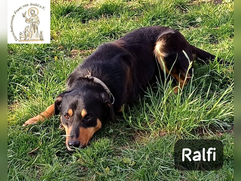 Ralfi – Für manche Hunde gibt es einfach nicht die richtigen Worte!